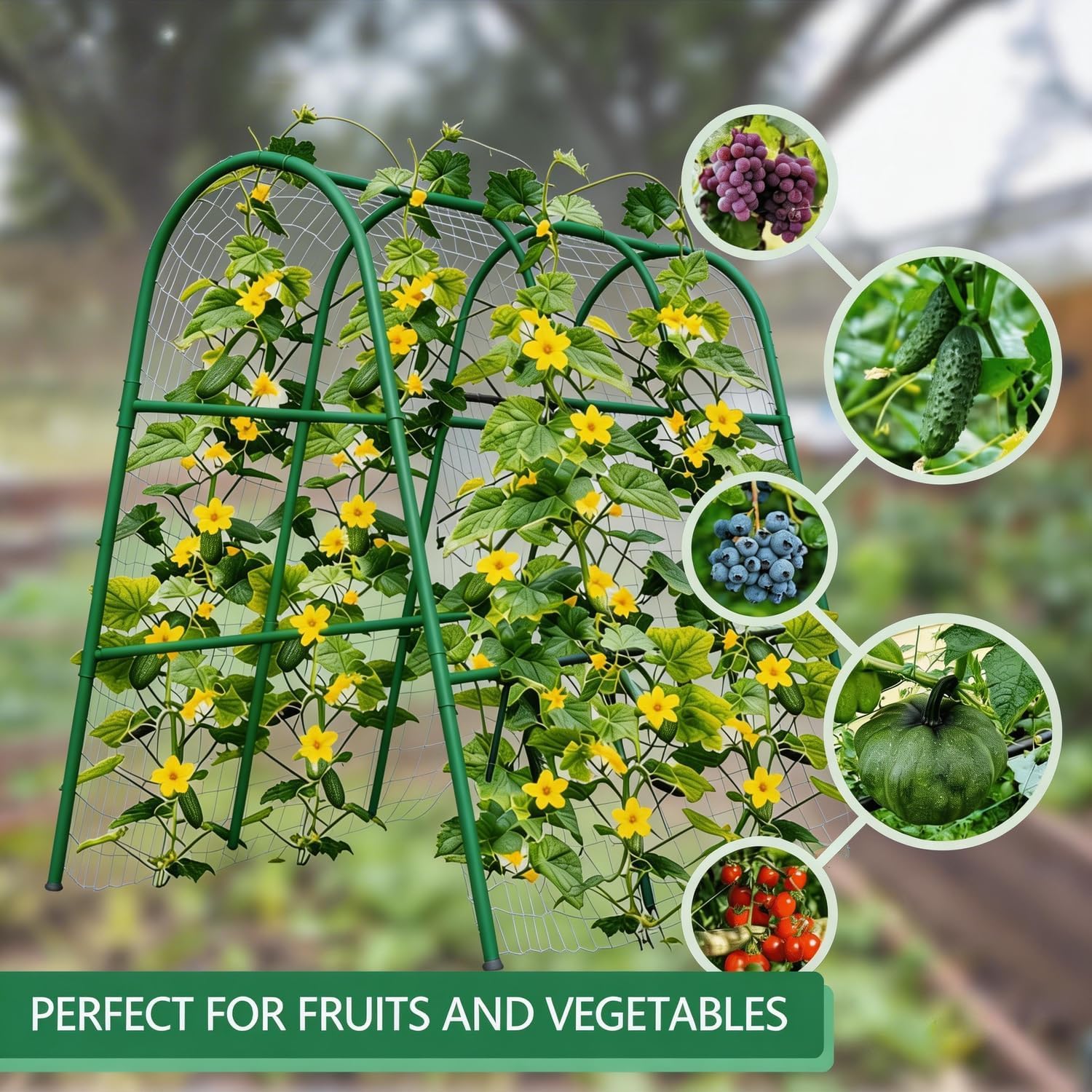 4x5.3FT Garden Arch Trellis fo - đánh giá và giá Raised Garden Bed