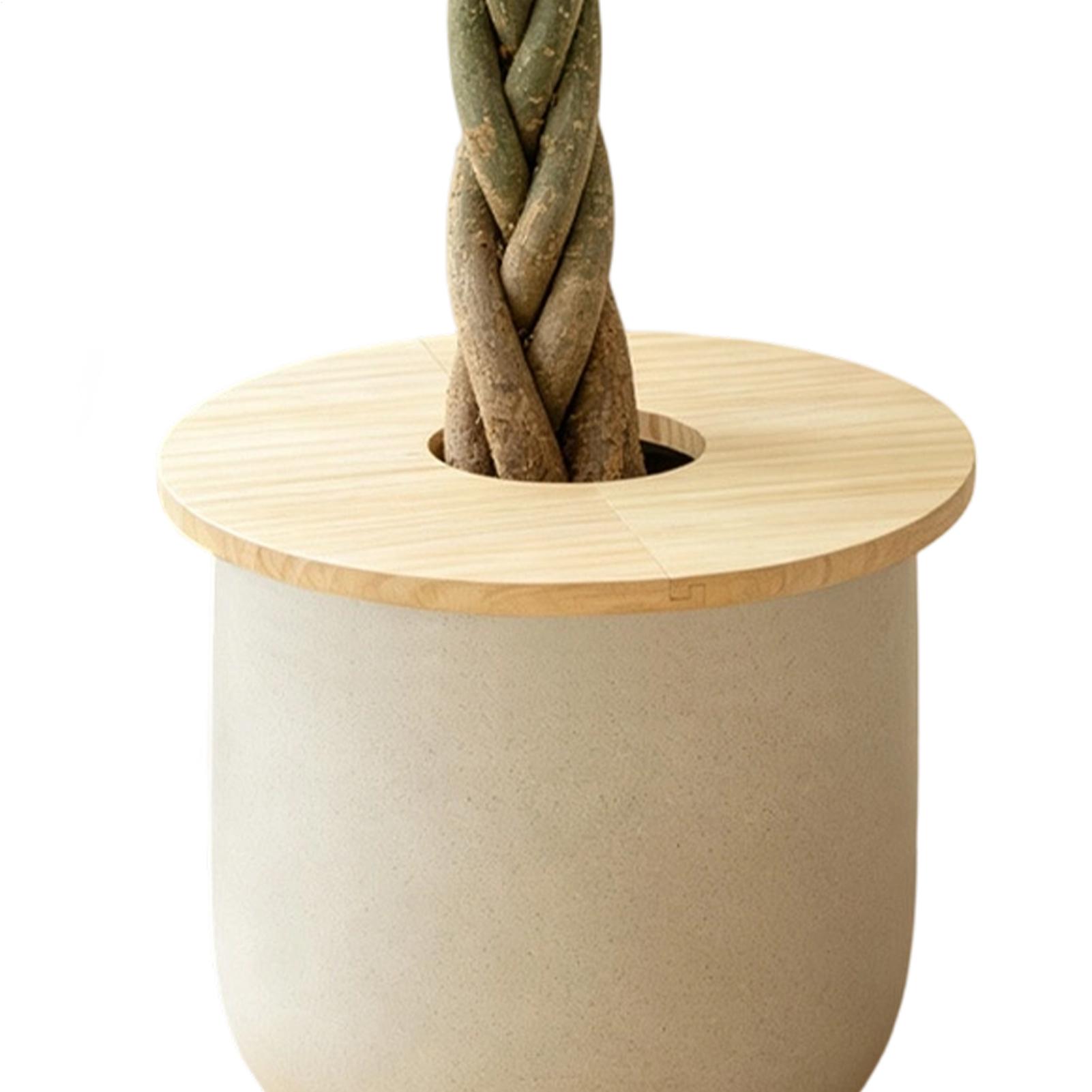 Flower Pot Covers Wooden Split - đánh giá và giá Indoor Herb Garden