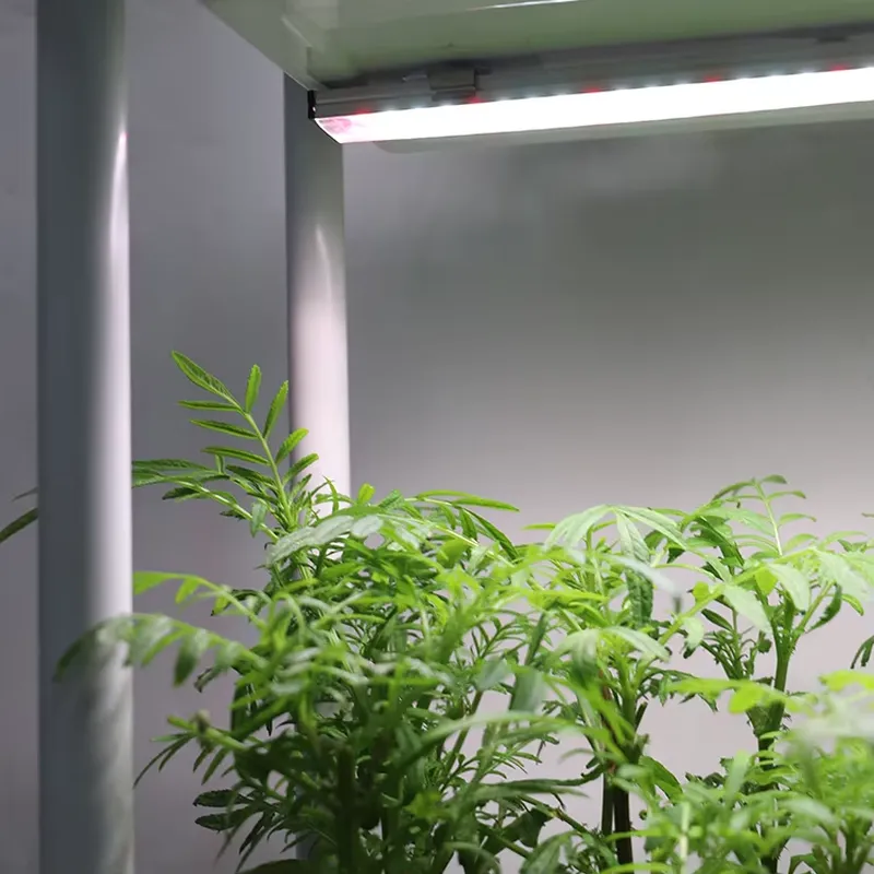 Movable Vertical Grow 3 Level  - đánh giá và giá Indoor Herb Garden