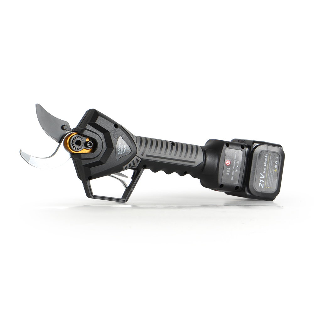 21V Electric Pole Pruning Shea - đánh giá và giá Pruning Shears