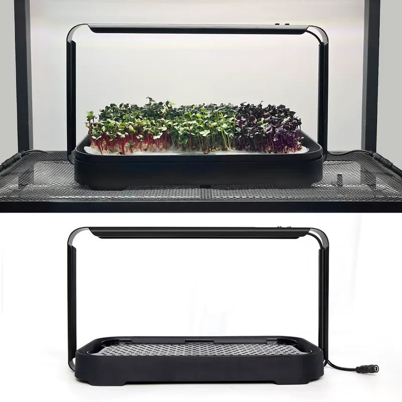 Microgreens Self Watering Hydr - đánh giá và giá Hydroponic Kit
