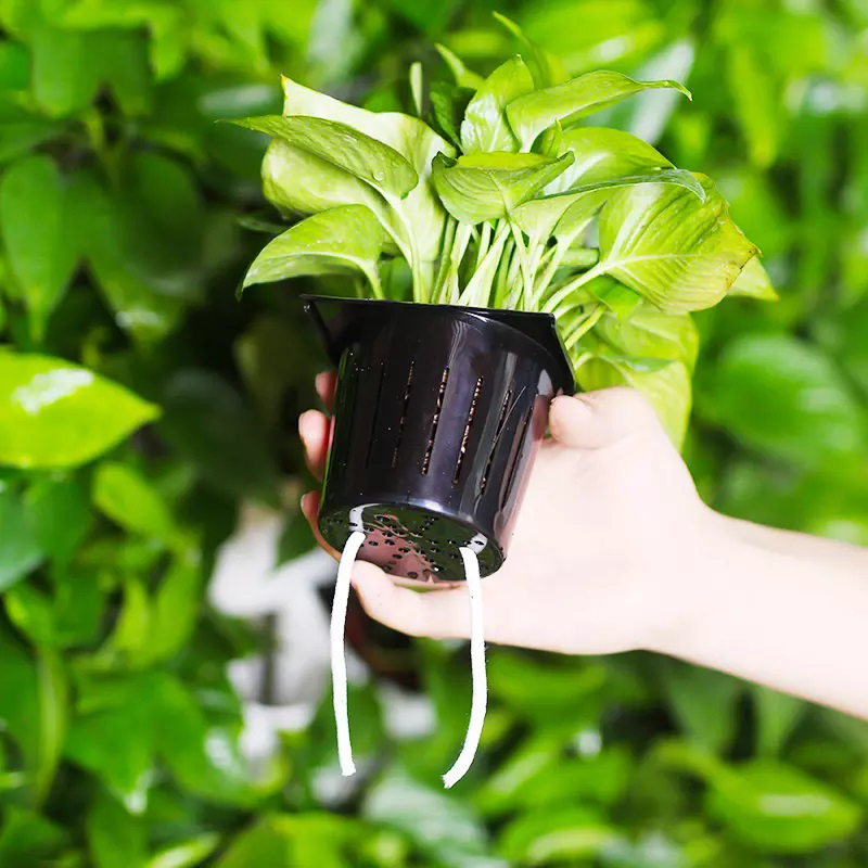 Hydroponics Indoor Kit 2 Squar - đánh giá và giá Hydroponic Kit