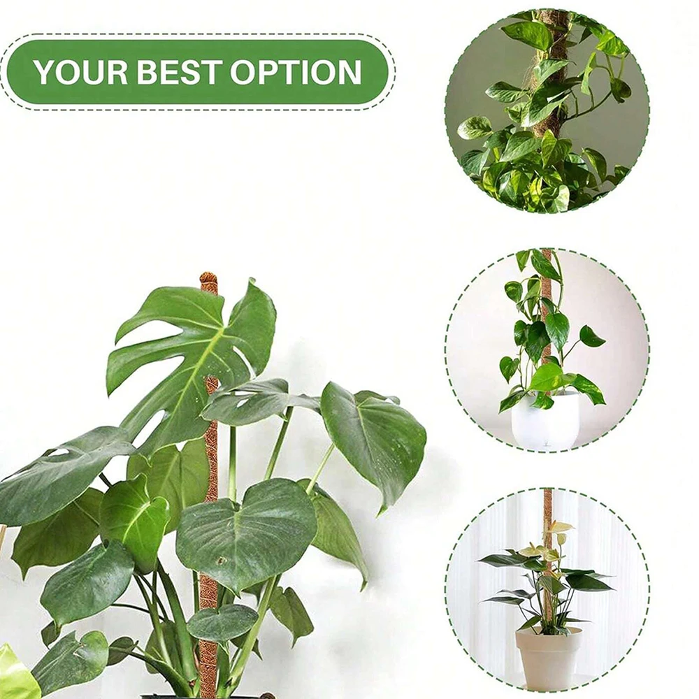 Monstera Plant Moss Pole Suppo - đánh giá và giá Indoor Herb Garden