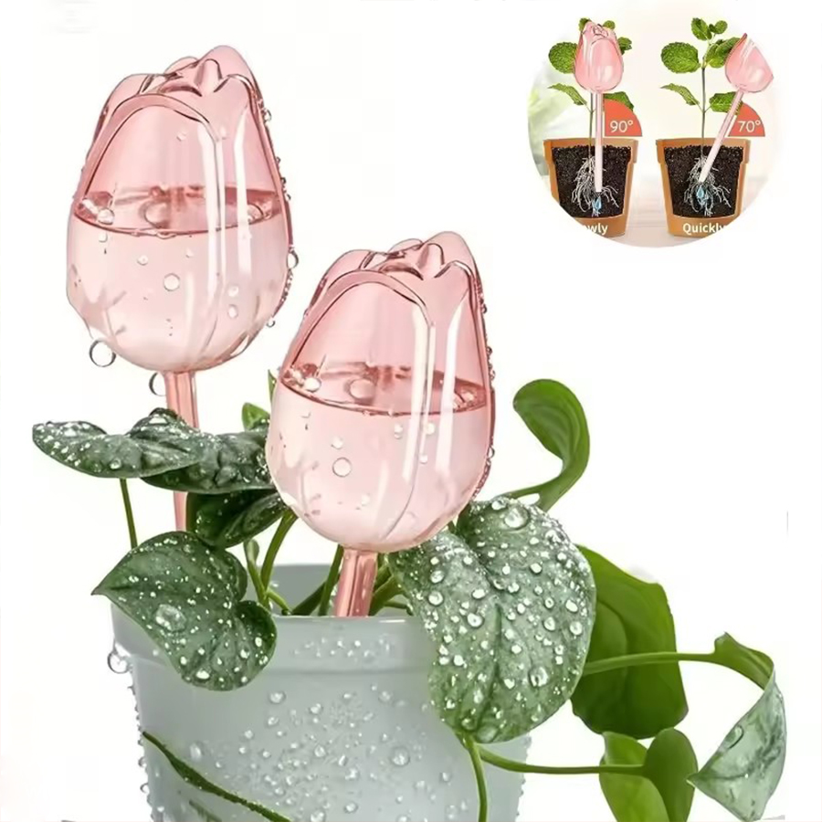 Transparent Thick PET Tulip Sh - đánh giá và giá Indoor Herb Garden