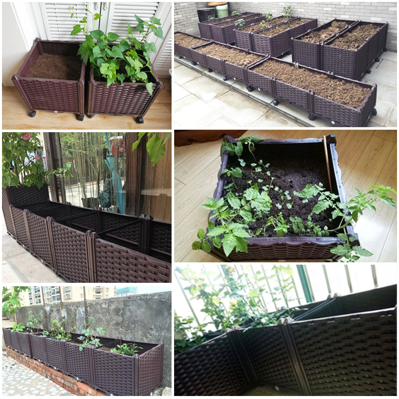 Self Watering Raised Garden Be - đánh giá và giá Indoor Herb Garden
