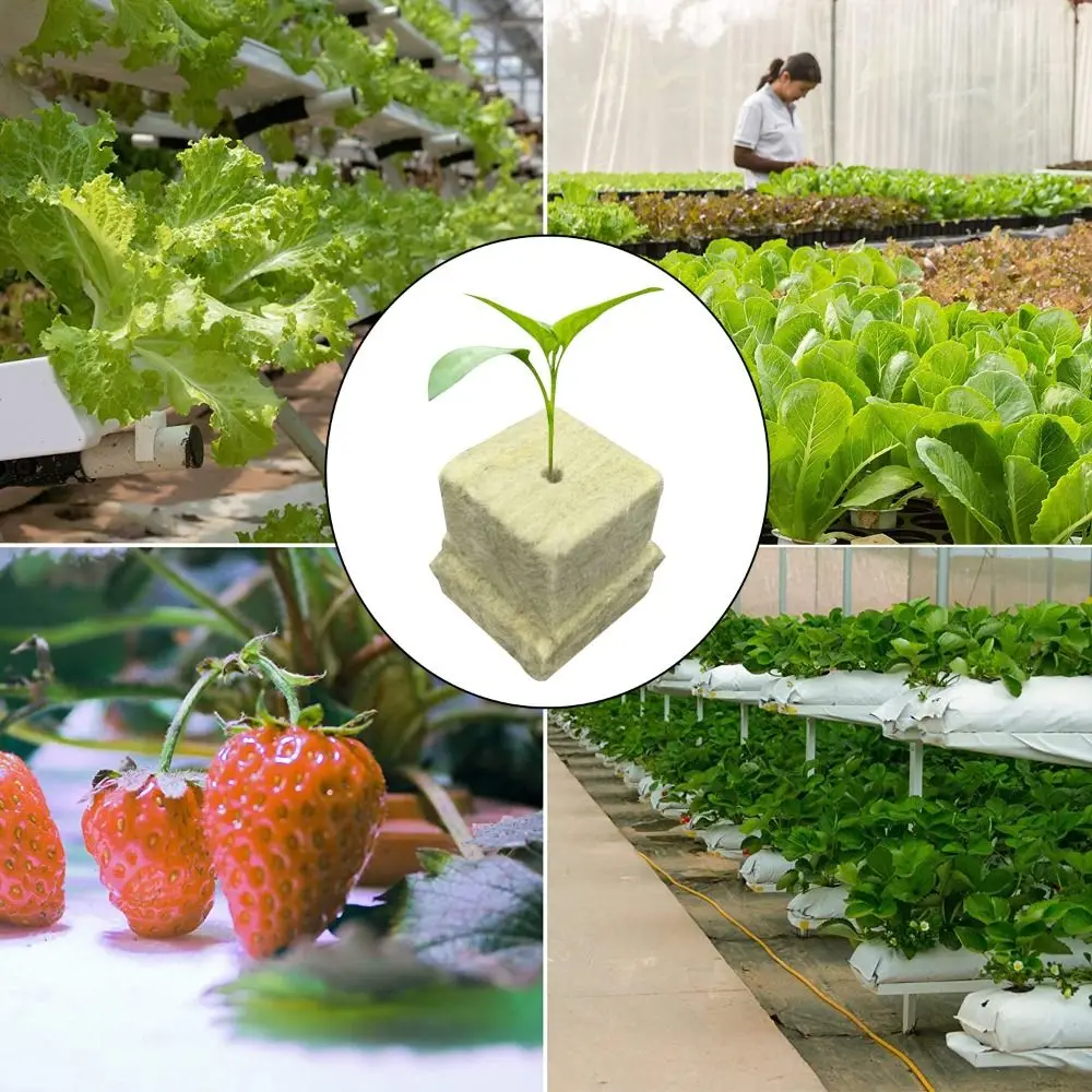 36/50Pcs Seed Starter Grow Cub - đánh giá và giá Seed Starter Tray