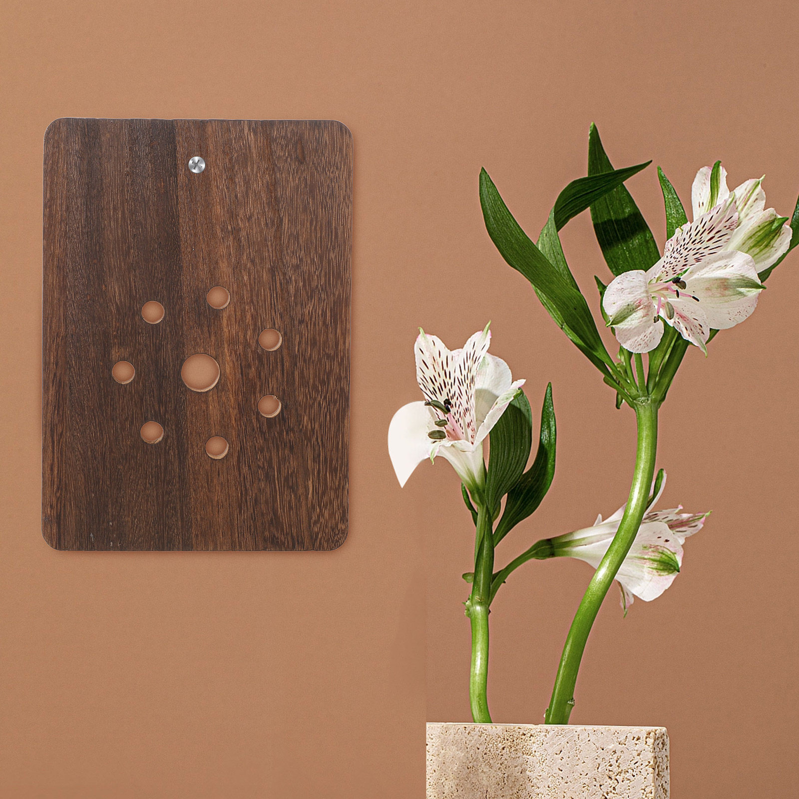 Staghorn Fern Mounting Board S - đánh giá và giá Vertical Planter
