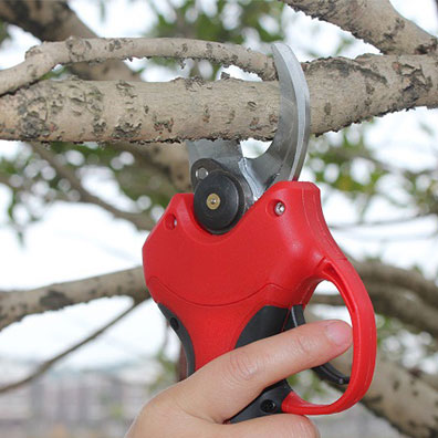 25-40mm Cutting Orchard Vineya - đánh giá và giá Pruning Shears