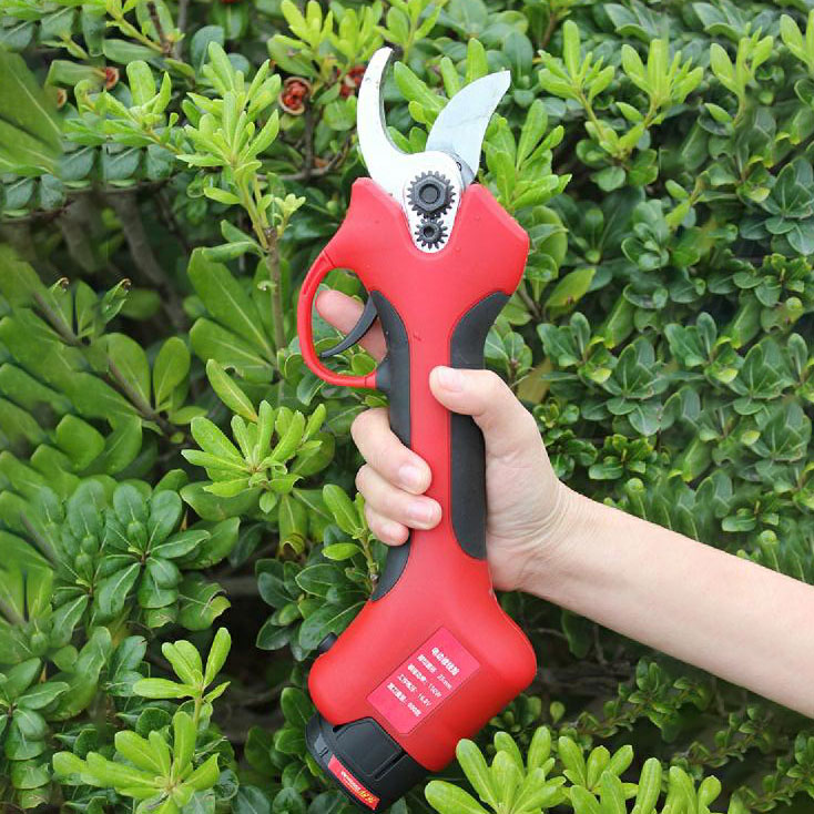 25-40mm Cutting Orchard Vineya - đánh giá và giá Pruning Shears