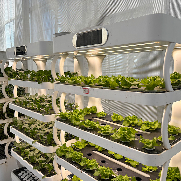 Intelligent Indoor Garden Plan - đánh giá và giá Grow Light Led
