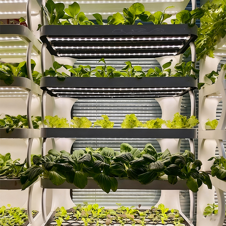 Intelligent Indoor Garden Plan - đánh giá và giá Grow Light Led